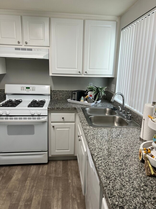 Kitchen Window - Arbor Pointe Apartments