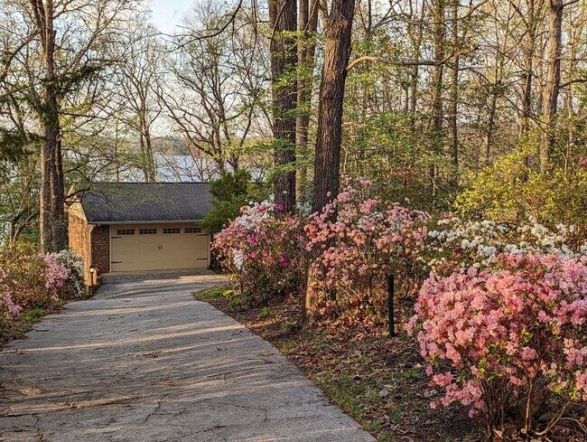 Entrada de coches - 221 Stelling Dr