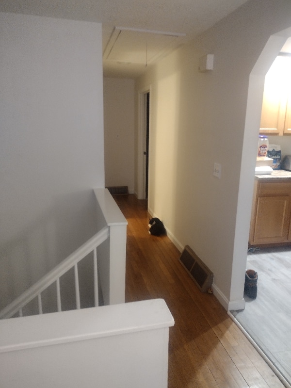 Building Photo - 6 Norwich Rd