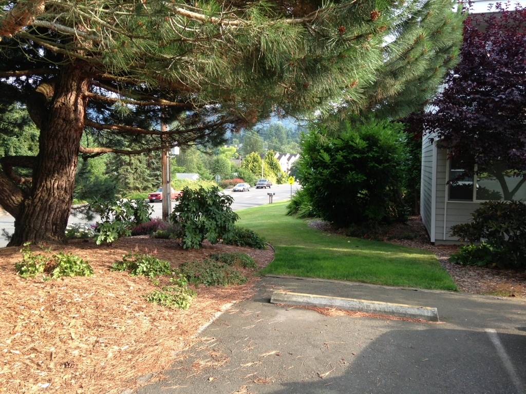 Primary Photo - Stanford Apartments