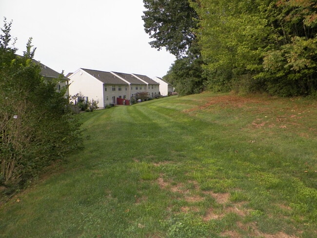 Private Rear Setting Backs to Woods - 3768 Swetland Dr