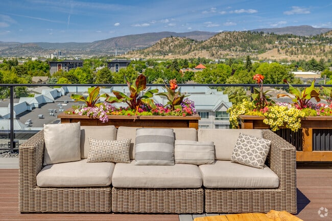 Rooftop Patio - The Woods