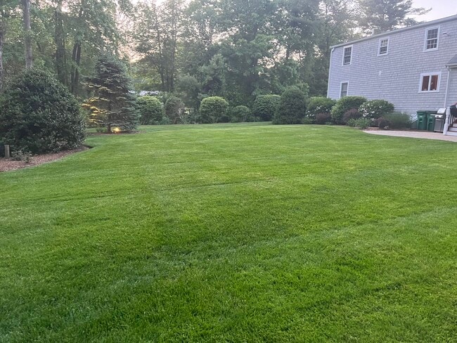 Foto del edificio - 16 Pelham St