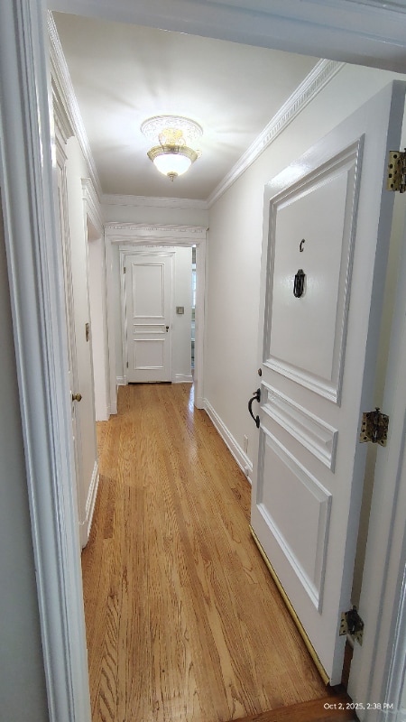 Photo - 10974 Strathmore Dr Apartment