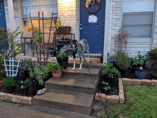 Building Photo - 906 Spring Loop