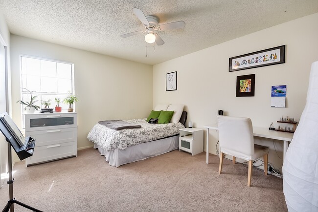 Large bedrooms - 218 N Texas Blvd (Denton, TX) Apartment
