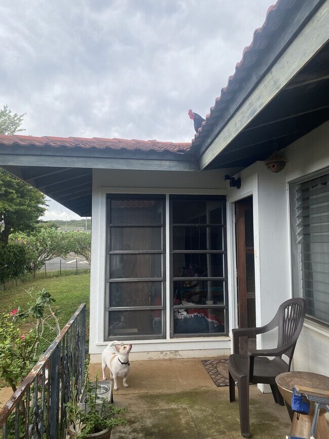 Foto del edificio - Furnished Private Room for Rent | Large Bed | Shared Home | Honolulu