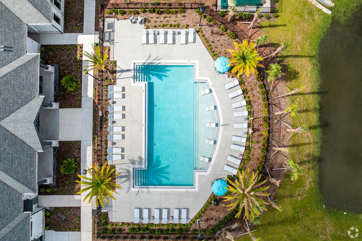 Allora Uptown Apartments in Tampa, FL