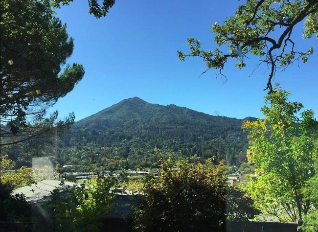 View of Mt. Tam - 124 Terrace Ave