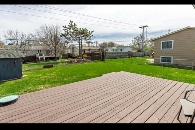 Backyard - 4116 13th Ave NW