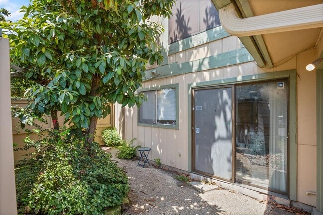 Building Photo - 901 Silver Quail Ln
