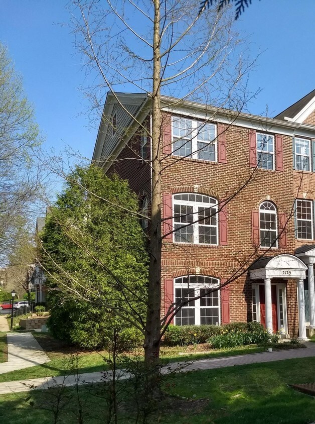 2125 Darcy Green Pl, Silver Spring, MD 20910 Townhome Rentals in