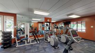 This fitness center is designed to support a comprehensive workout experience within a single, open-plan space. The room is defined by bold terracotta-orange accent walls that lend an energetic atmosphere, complemented by a blue-gray modular carpet floor that adds both comfort and visual contrast. Large wall-spanning mirrors are positioned throughout, enhancing the sense of space and allowing users to monitor their form during exercise.

The cardio section is well-appointed with multiple Precor treadmills, elliptical cross-trainers, and a recumbent stationary bike, all arranged to maximize floor space and usability. For strength training, the facility includes a TuffStuff multi-station cable machine with adjustable attachments, a weight bench, a dumbbell rack, and a stability ball, offering a versatile range of resistance training options. A wall-mounted flat-screen television is available for entertainment during workouts.

Natural light filters into the space through several windows that offer views of surrounding greenery, while flush-mounted panel lighting ensures consistent illumination throughout. Access is provided via both a standard door and a set of double glass exit doors. Sanitation supplies are conveniently wall-mounted near the entrance, and a small waste bin is provided. The overall layout is practical, spacious, and thoughtfully organized to accommodate a variety of fitness routines.