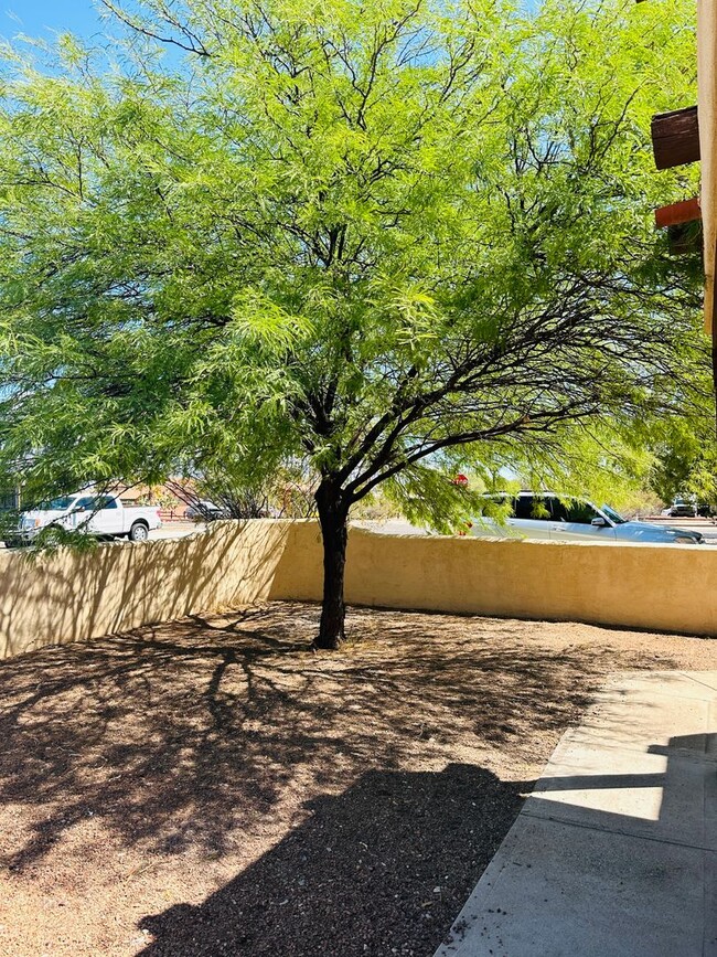 Building Photo - Beautiful Home in UofA Neighborhood!