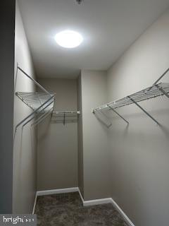 Building Photo - 1705 Palmetto Dr