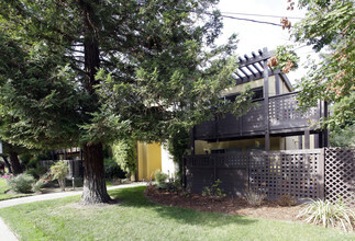 Redwood Tree Apartments photo'