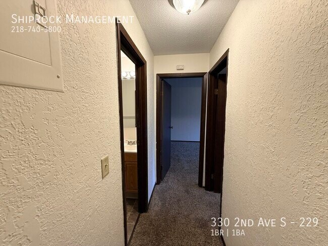 Building Photo - 330 2nd Ave S