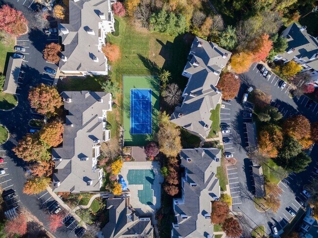 Fotos de la Comunidad! - The Apartments at Pike Creek