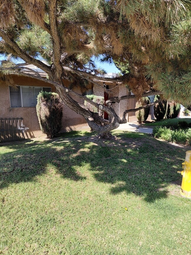 Building Photo - 1819 Lampton Ln