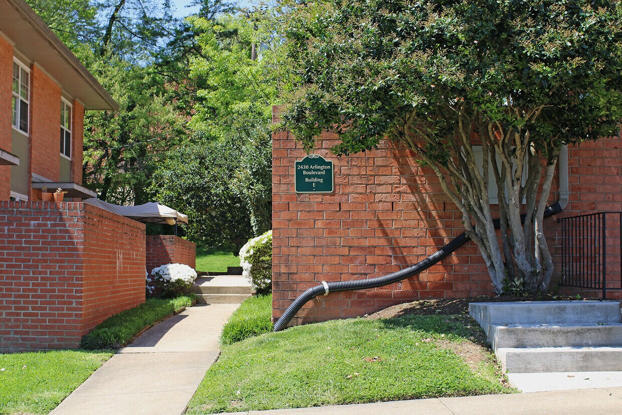 Primary Photo - 2430 Arlington Blvd