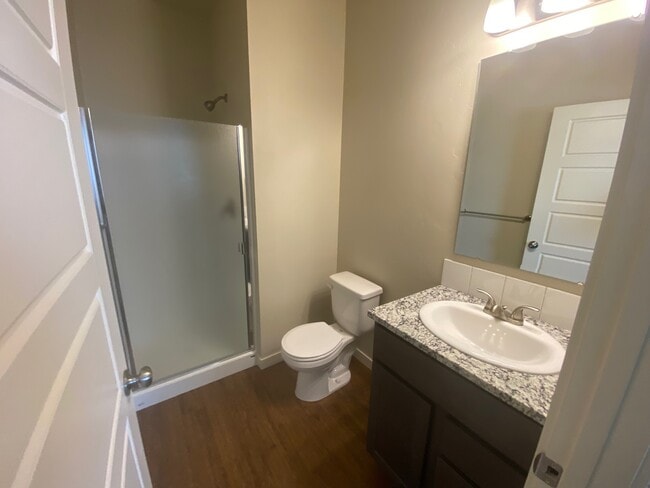 Downstairs bathroom - 7356 N Lucy Rose Ln