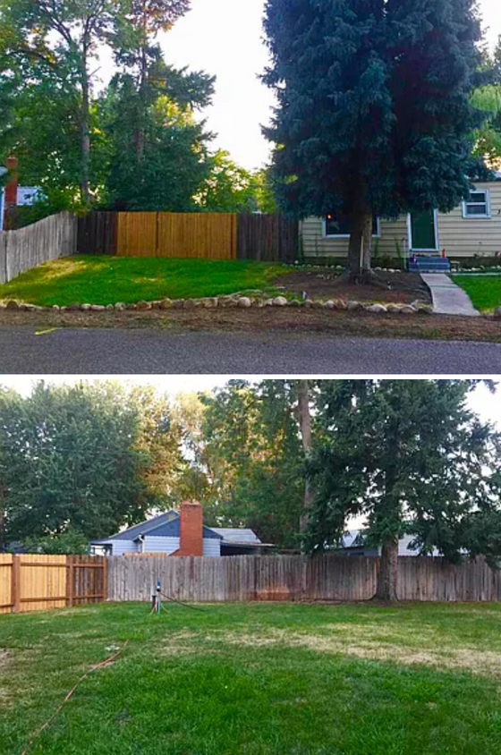 front and back yard - 317 W Chester Dr