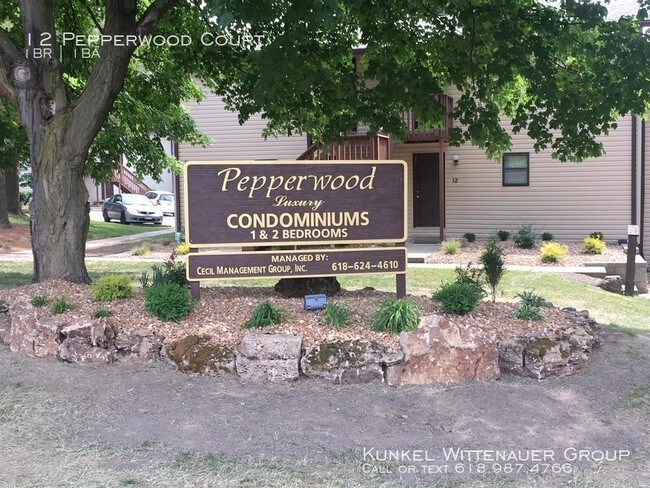 Foto del edificio - 12 Pepperwood Ct