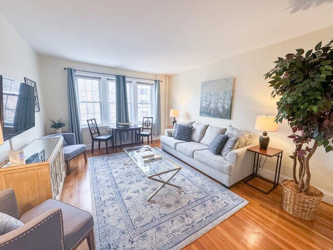 Photo - 1 bedroom in Brighton MA 02135 Apartment