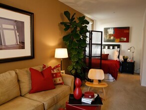 San Mateo Apartment Homes photo'