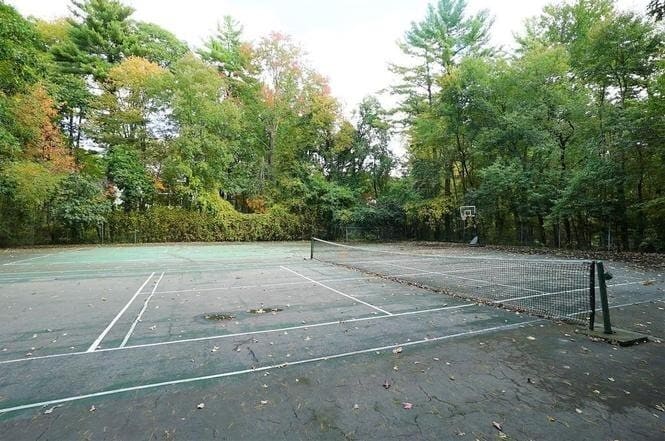 Primary Photo - Spacious Condo with Parking, Heat/Hot Wate...