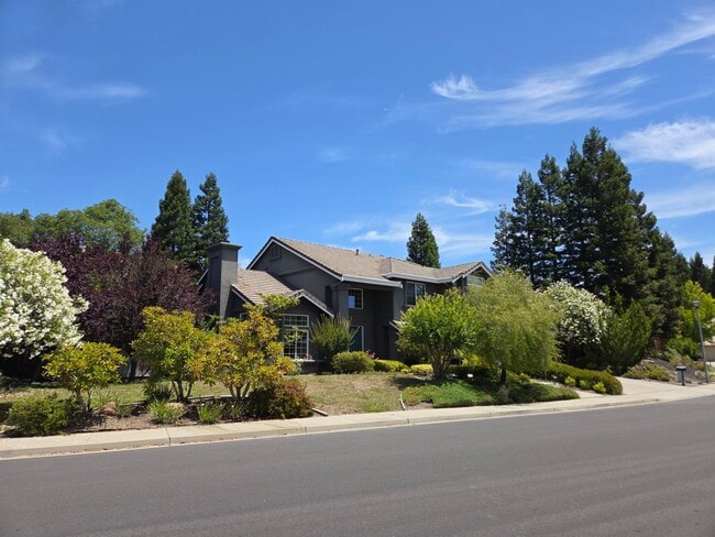 Building Photo - Spacious 5-Bedroom Danville Home with Dramatic High Ceilings & Flexible Living Areas