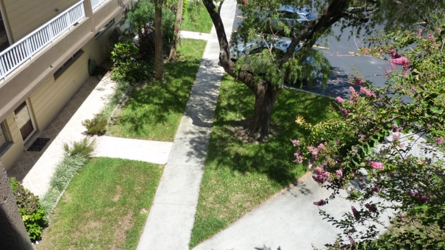 Foto del edificio - 2402 Ecuadorian Way