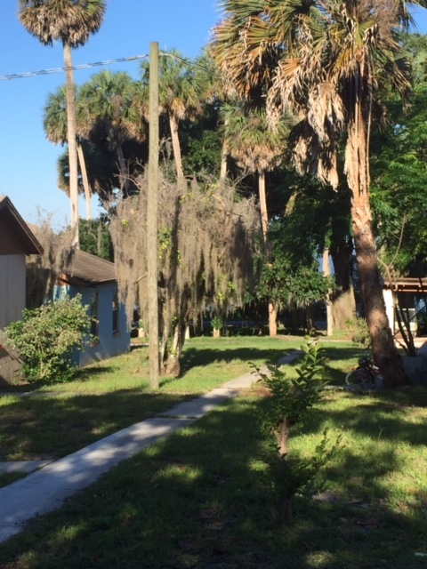 Primary Photo - Lake Apopka Villas