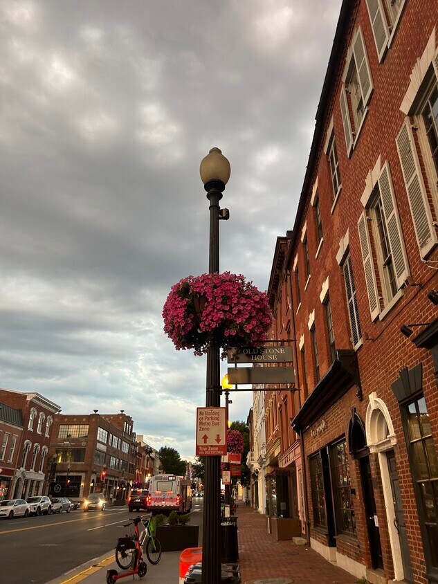 Georgetown (surrounding area) - 3039 M St NW
