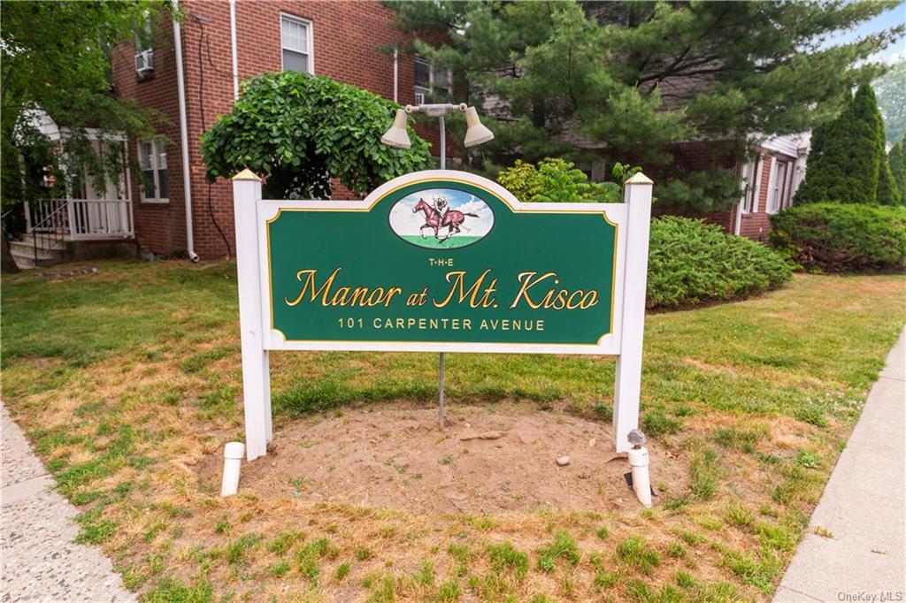 101 Carpenter Ave Unit E11, Mount Kisco, NY 10549 Condo for Rent in