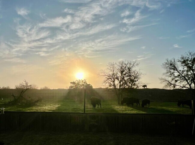 Building Photo - 11305 Sentinel Dr