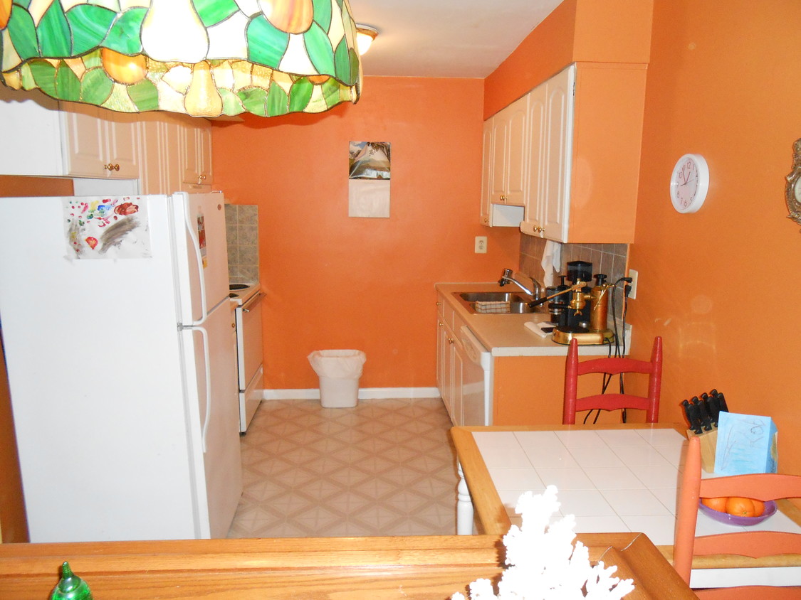 Kitchen - 26 Cooper Rd