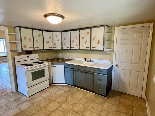 Building Photo - 3 Bed 1 Bath Single Family Home in Rhinela...