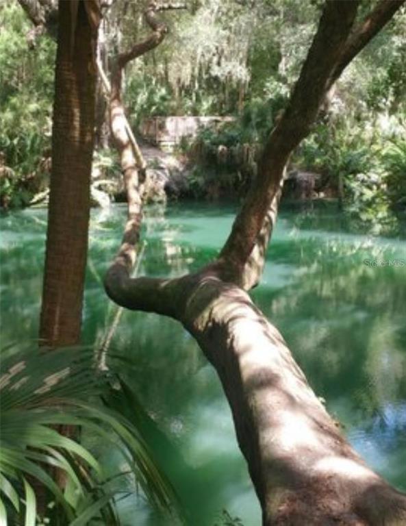 Foto del edificio - 120 Hibiscus Woods Ct