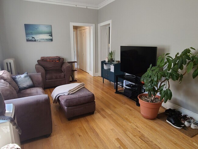 Living Room - 2246 W Sunnyside Ave