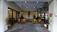 This single-floor space presents a thoughtfully designed lobby or reception area that balances professional functionality with a warm, inviting ambiance. The layout is anchored by two symmetrical workstation clusters, each featuring rich wood desks paired with cushioned wicker-style chairs, creating an organized and approachable setting for meetings or consultations. Elegant pendant light fixtures hang from the ceiling above each station, casting a warm glow that complements the recessed lighting throughout. A decorative console table positioned centrally between the two workstations adds a refined focal point, accented by a striking wall-mounted metal tree sculpture against a textured stone or woven wall panel that adds visual depth. Lush potted plants are placed throughout, introducing natural greenery that softens the professional atmosphere. The patterned carpet in muted tones grounds the space and adds a layer of texture underfoot. Floor-to-ceiling glass partitions and sliding glass doors line the perimeter, allowing an abundance of natural light to flow through and offering views into adjacent areas. The overall design is clean and contemporary, with a neutral palette of grays, browns, and greens that creates a calm and professional environment well-suited for welcoming guests or clients.