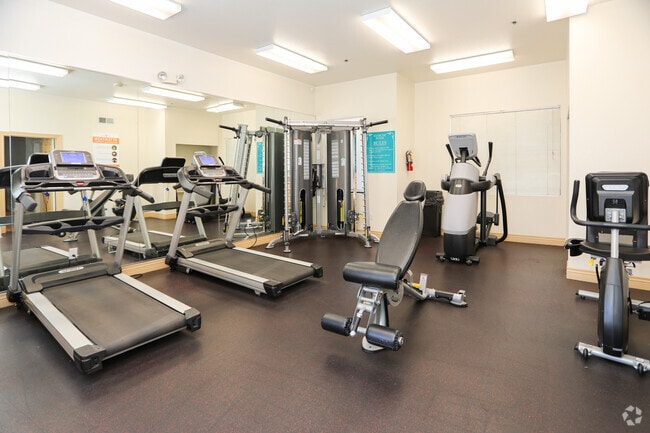 Gimnasio - Villa De San Felipe