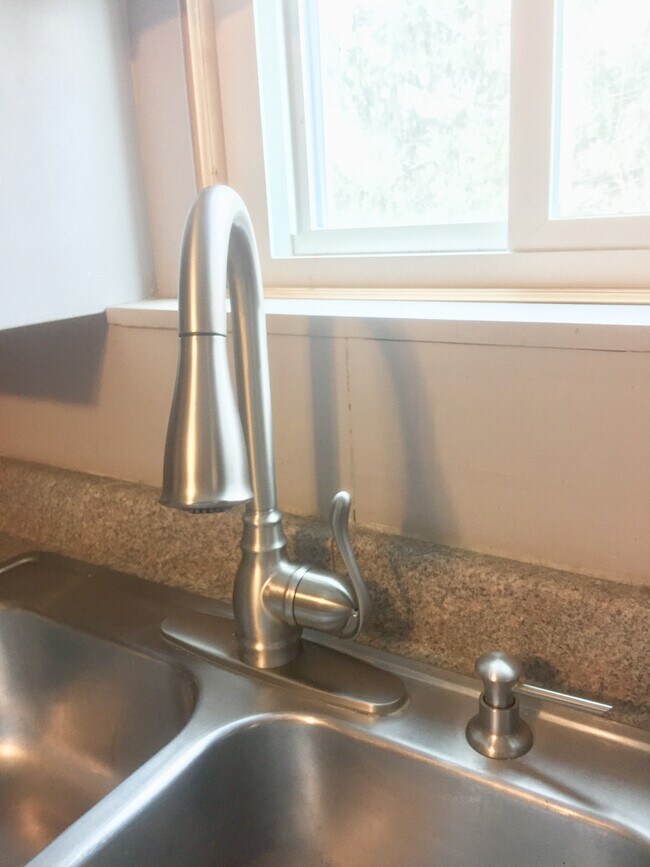 New Kitchen Stainless Steel faucet - 1201 Mill St