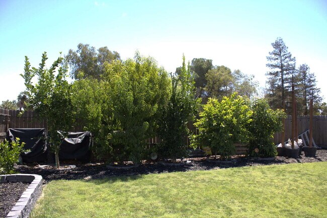 Foto del edificio - 4Bed/3 Bath Home in Central High East High...