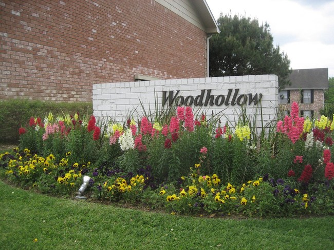 Foto del edificio - Woodhollow Apartments