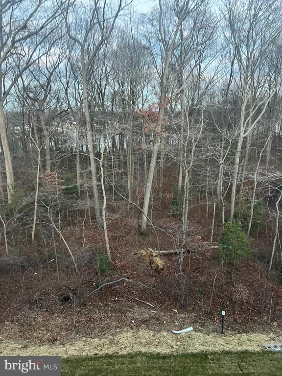 Foto del edificio - 304 SWEET BAY Rd