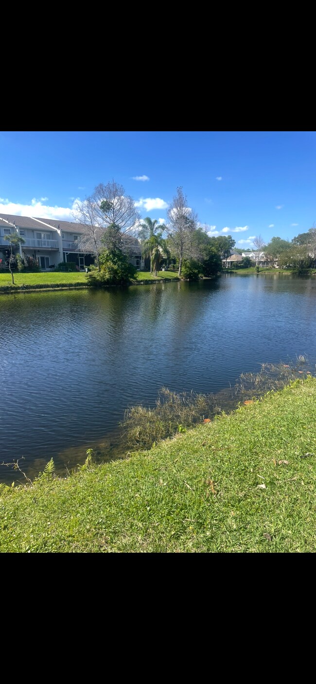Foto del edificio - 4827 S Hemingway Cir