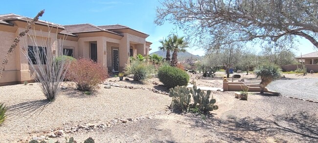 Building Photo - Mountain View