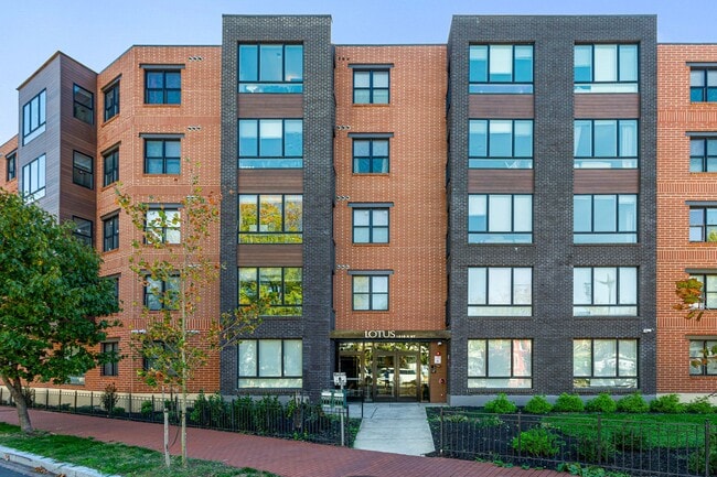 Photo - The Lotus Apartments