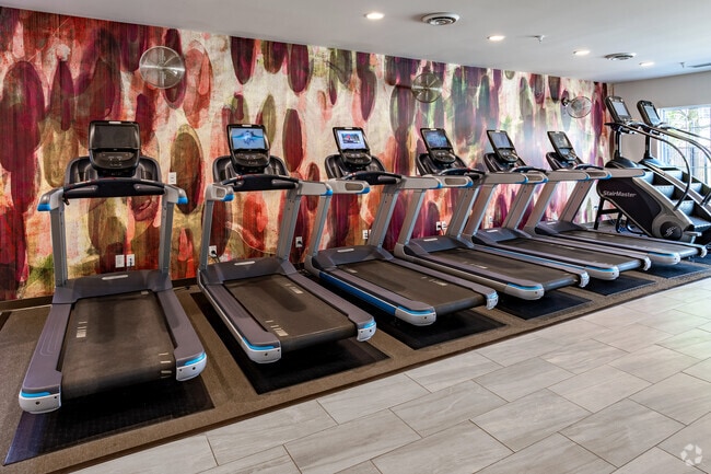 Fitness Center - Arrive Minnetonka